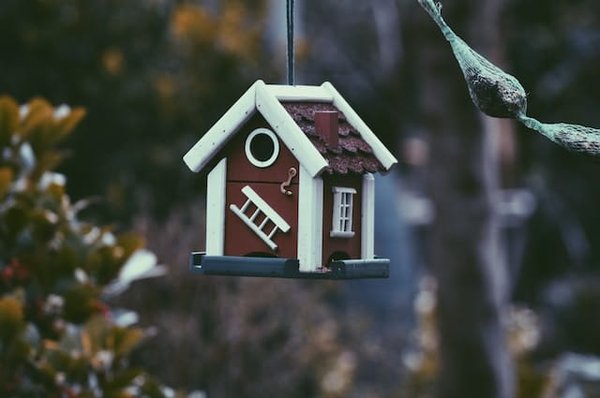 Quelles sont les dernières actualités immobilières à Vichy ?